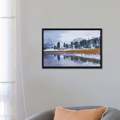 « anches est élevéing growing through surface de juin lake, eastern sierra nevada, californie », reproduction de photo sur toile