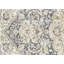 One-of-a-Kind 6'6" X 9'6" Area Rug