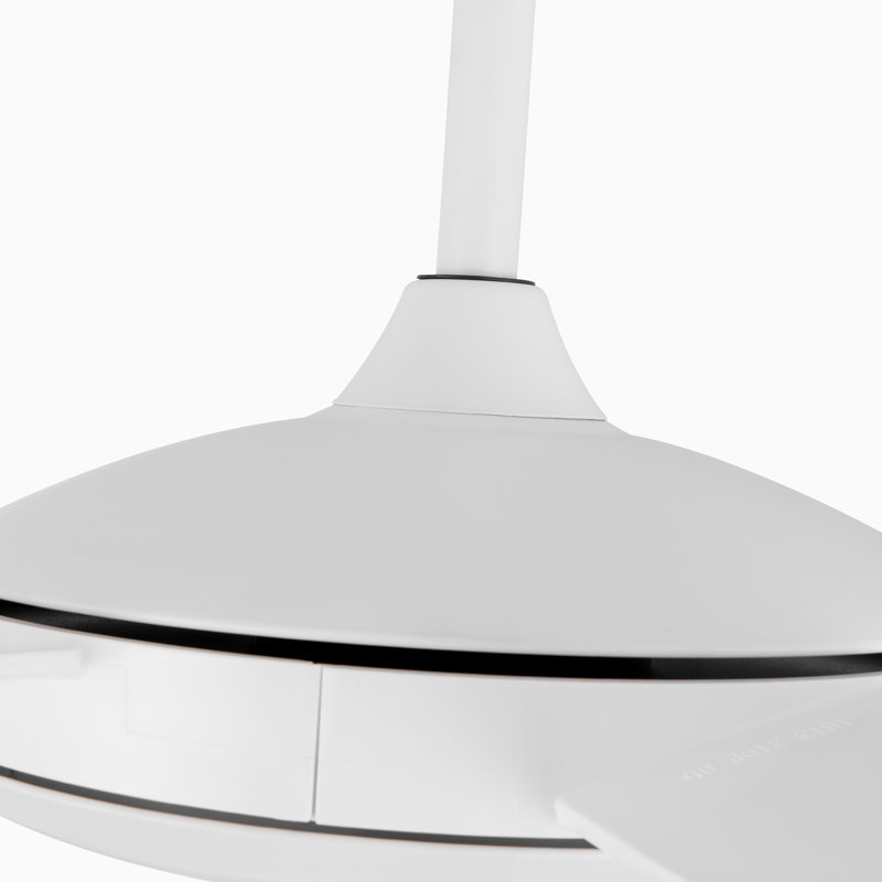51.96'' Ceiling Fan with LED Lights, White
