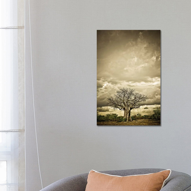 Baobab Hierarchy IV by Klaus Tiedge - Print on Canvas, 66.04 cm H x 45.72 cm W x 1.91 cm D, Wrapped Canvas