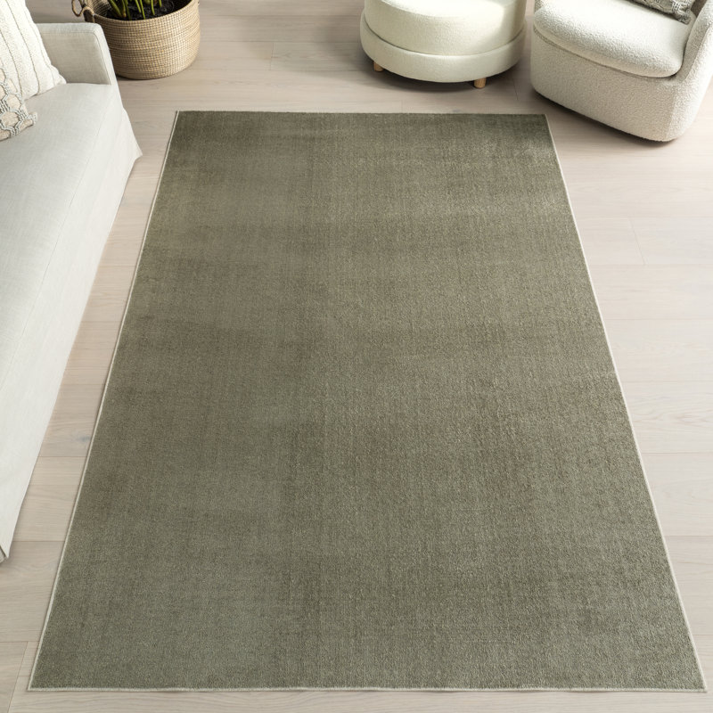 Argelia Solid Machine Washable Area Rug, Rectangle 4' x 6'