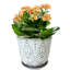 Ceramic Pot Planter