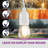 Burroughs  48' Outdoor 15 - Bulb Standard String Light-277533883
