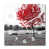White/Grey/Red