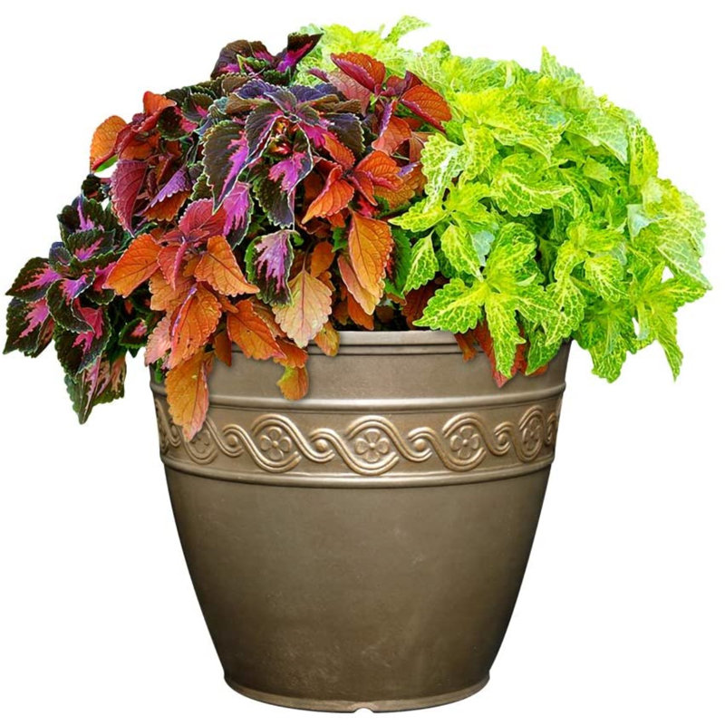 Milahn Resin Round Pot Planter, 11" H x 13" W x 13" D, Bronze
