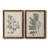 " Antique Black And White Botanical IV " 2 - Pieces Painting Print-508910549-508910547