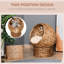 Raised Cat Bed With Cosy And Gentle Cushion, For Indoor Cats, 23.5" H, Brown Relaxing Elevated,