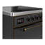 Majestic III Series 30 Inch Induction Range with 4 Induction Elements in Matte Graphite (Brass Trim)-500614276-500614272