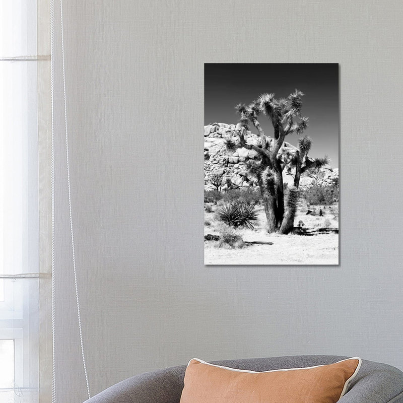 Black California Series - Beautiful Joshua Tree - Wrapped Canvas Print, 66.04 cm H x 45.72 cm W x 1.91 cm D