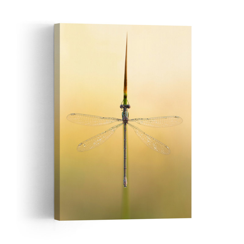 Delicate Green Damselfly Delicate Elegant Peaceful Animal Nature Wall Art Print 1 Piece Wrapped Canvas Wall Art