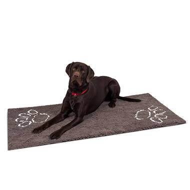 Tucker Murphy Pet™ Asbed Non-Slip Outdoor Doormat