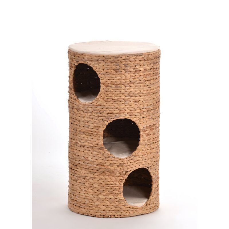 Evelin Nest/Cave