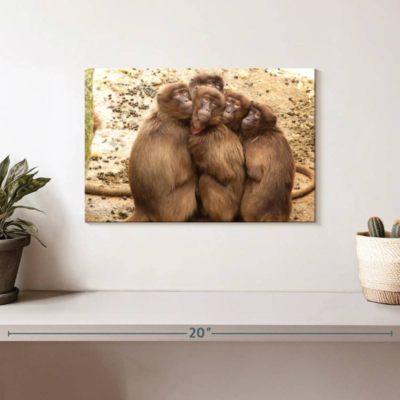 Brampt Monkey Troop, 8" H x 12" W