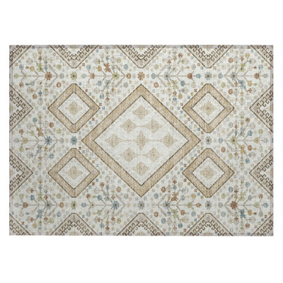 Machine Washable Indoor/Outdoor Chantille ACN2459 Casual Rug