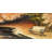 Park bench by fall - Trees Office framed matted print decor