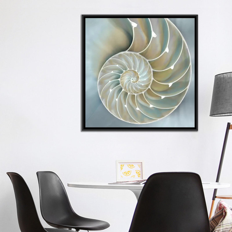 «Nautilus in Blue II», impression sur toile, H 37 po x l 37 po x P 1,5 po, Toile avec cadre noir, Pas de tapis