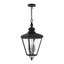Lanterne suspendue d'extérieur 3 lumières-88580131