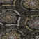 Senad Flatweave Washable Damask Indoor / Outdoor Rug