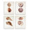 Elegant Beach Seashells Exquise Marine Life4pcAnnie Warren