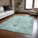Machine Washable Indoor/Outdoor Oden ACN2164 Global Rug