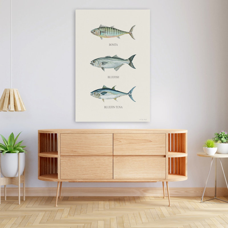 Fish Chart II - Contemporary Fish Illustration Bonita Bluefish Art, 48" H x 32" W