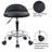 Backed Adjustable Height Ergonomic Lab Stool with Footring Wheels-1510395502