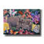 «Elephants and Butterflies» par Carissa Luminess, art mural sur toile-1027598294