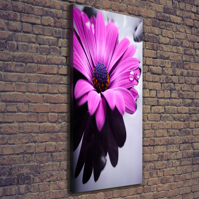 Pink Gerbera - Wrapped Canvas Print
