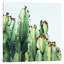 Cactus Love by 83 Oranges - Print on Canvas-42154345-101336444