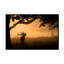 «The Love Call» par Radojica Jevric Fotorax - reproduction de photo sur toile tendue-739241214