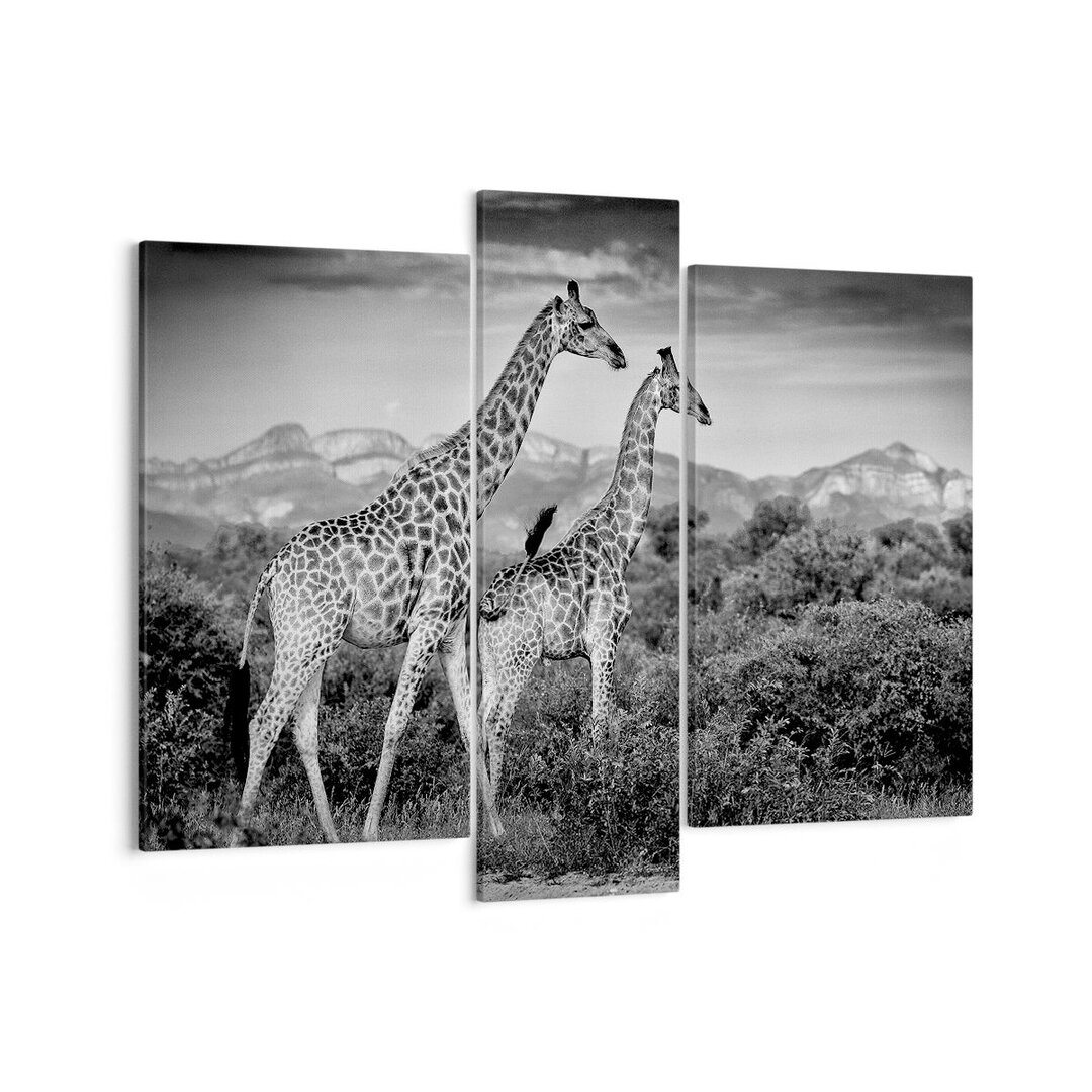 3-tlg. Leinwandbilder-Set Giraffes Black and White