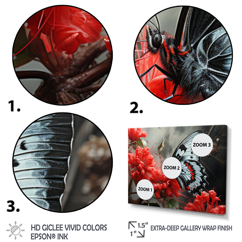 «Red Grey Butterfly Haven II», art mural papillon, Toile tendue, H 16 po x l 32 po x P 1 po