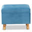 Repose-pieds avec rangement Fryar-287135042