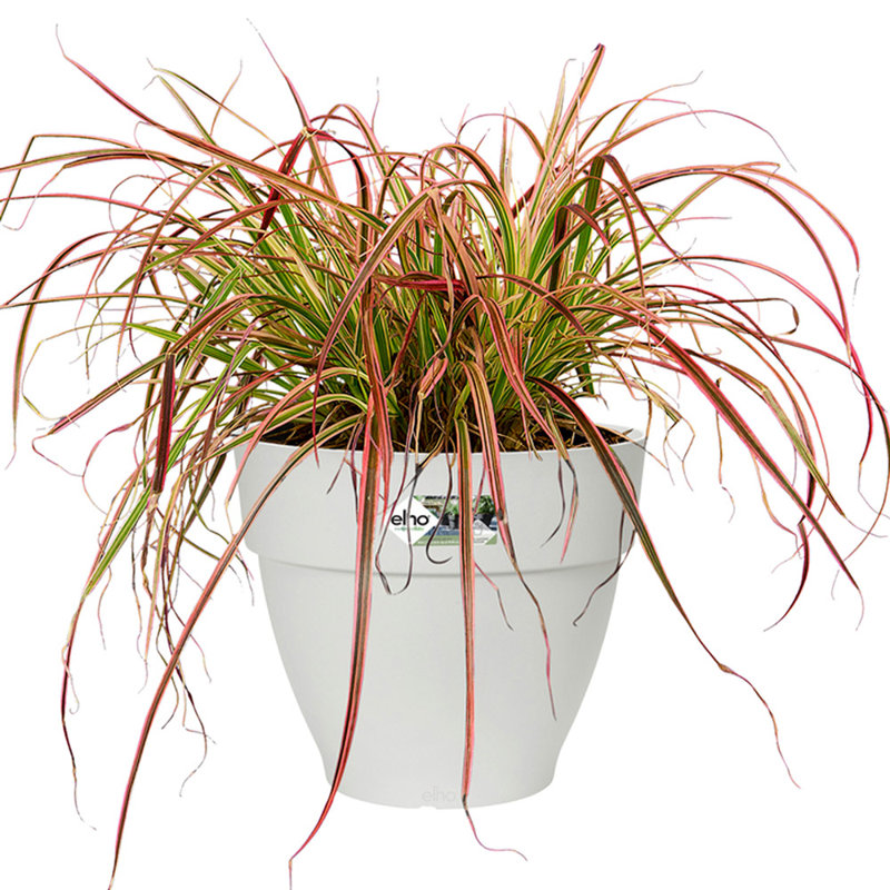 Pot Planter, 30cm H x 25cm W x 25cm D