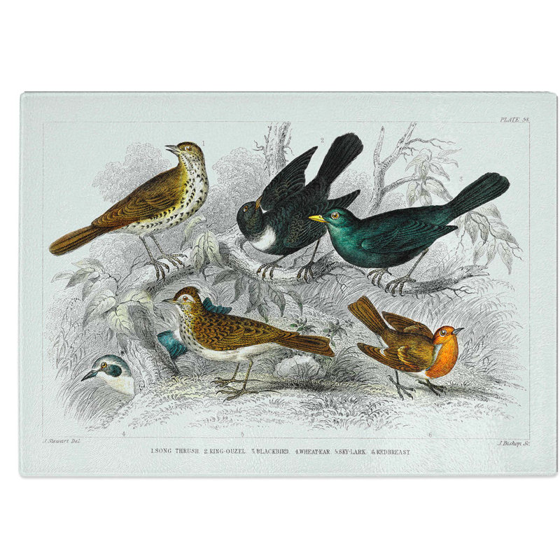 Tempered Glass Collection of Birds Pl. 58 Chopping Board, 39 cm W x 28.5 cm L