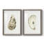 «Neutral Oyster Study I-Premium», reproduction d'art encadrée - prête à être accrochée-1552336108-1552336109