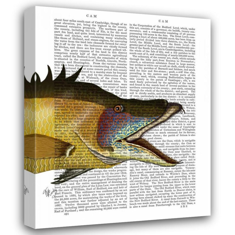 Art sur toile tendue Astoria Grand Fab Funky Gallery: Great Hog Fish, H 18 po x l 15 po