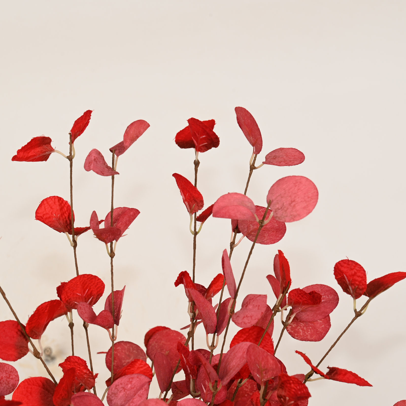 Eucalyptus Floral Stems, Red
