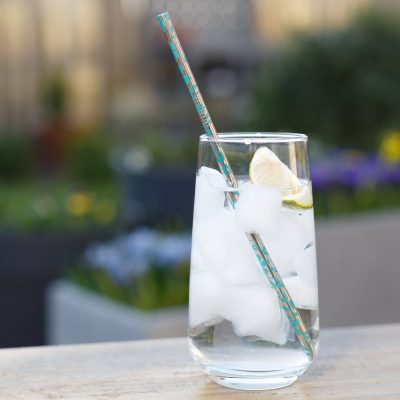 Echo Three Stainless Steel Reusable Straws