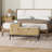 Shoe Storage Bench With Drawer And Cabinet, Rattan