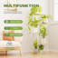 Reinaldos Plant Stand