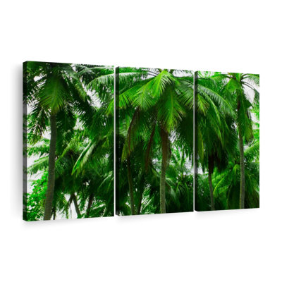 " Palm Tree Forest "