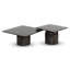 Alessia Coffee Table - Set of 2-882934158