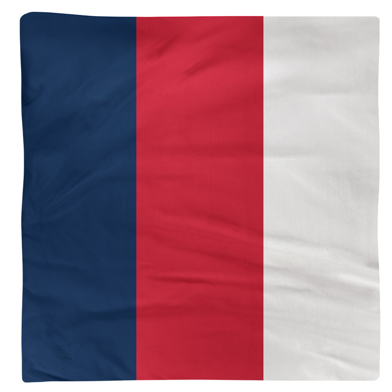 Serviette pour dîner de hockey Washington, 10 po x 10 po, Bleu / Rouge / Blanc, Sergé de coton