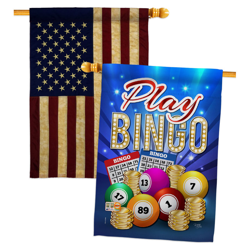 Double Sided 40'' H x 28'' W Polyester House Flag