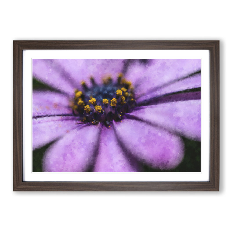 Pollen of a Purple Gerbera Flower - Picture Frame Painting Print, Walnut Framed, 24cm H x 33cm W x 2cm D