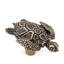 Pollino Novelty Knob-10367914