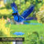 Carillon WindyWings Blue Jay