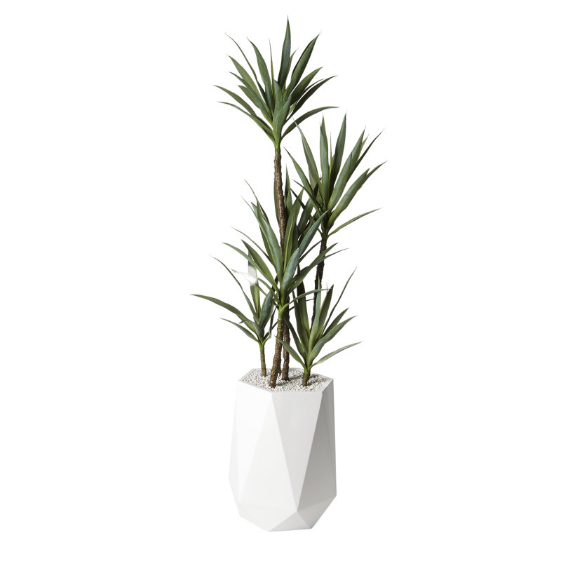 Faux Yucca Tree in Planter