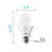 9 Watt (60 Watt Equivalent), A19 LED, Dimmable Light Bulb, E26/Medium (Standard) Base-58973629